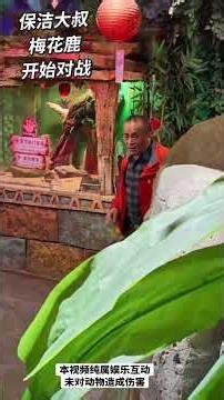 The Sika Deer's Escape Plan: Can It Outsmart Me