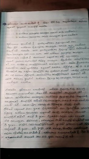 grade 10 history first lesson essey question