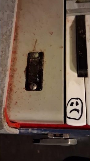 Hohner ORGANA 'electric harmonica'