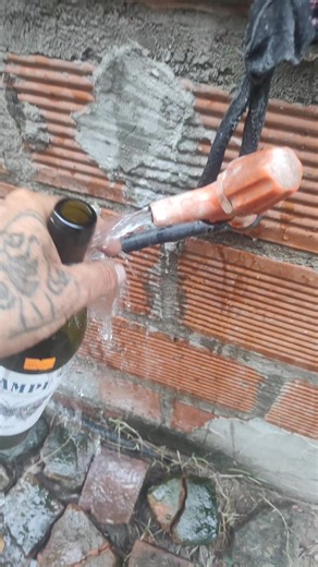 Videos de alfredorivarola (@alfredorivarola7) con “sonido original - Little Clion”