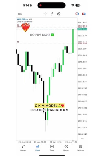 O K M MODEL⛳️❤️ #foryou #okm_future_predictor_devil_in_the_market #the_devil_in_the_machine #okmmodels #okmconcepts