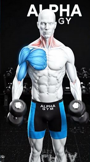 How To Do Dumbbell Front Raises Correctly Build Bigger Shoulders ⚽