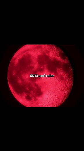 ENTJ Soul Color: What It Reveals About Your Personality