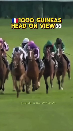Exciting Horse Racing Moments to Watch