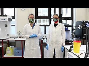 Bases du diagnostic bactériologique