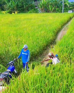 Kaya ba ninyo ito?mahulog man bumabangon parin🥰 Sa tingin mo madali lang pero napakagirap Gawin🥰 Buhay Hauler 🥰❤️ | Fernz the Traveler