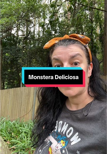 Delicious Monstera Deliciosa: Ripening Process Explained