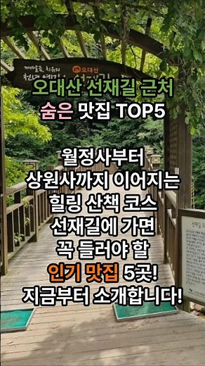 오대산 전재길 주변 맛집 TOP5 #오대산맛집 #선재길맛집 #평창맛집 #진부맛집 #강원도맛집 #오대산여행 #평창여행 #강원도여행 #등산맛집 #현지인맛집