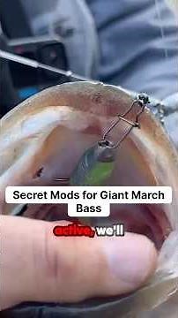 Secret Mod For Big March Bass