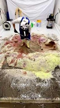 Dust Curtain Lifted – Rug’s Extreme ASMR Cleaning Glow‑Up That Restores Lost Patterns