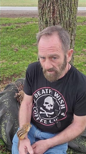 BOOMER IS BACK/CHIPMUNK ON MY SHOULDER 3/19/25 #chipmunk #boomer #spring