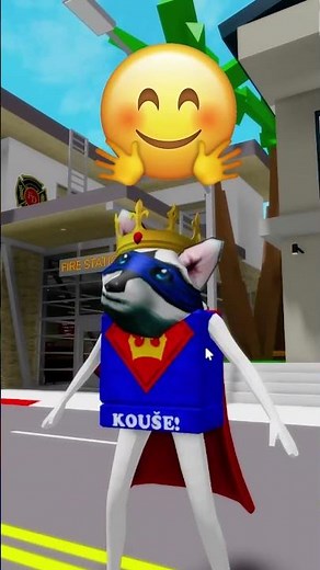 How to ACTIVATE a TSUNAMI in Roblox Brookhaven RP?! 🌊