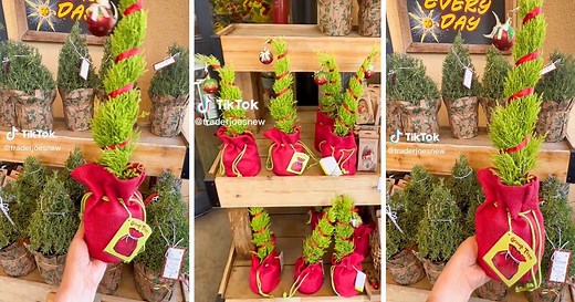 Trader Joe’s Sells Grinch-Inspired “Grump Trees” and We’re Obsessed