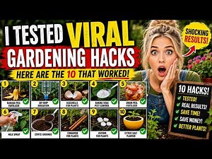 I Tested 20 Viral Gardening Hacks… Only 10 Actually Worked!