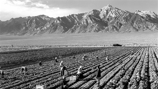 The Secret to Being a Memorable Photographer