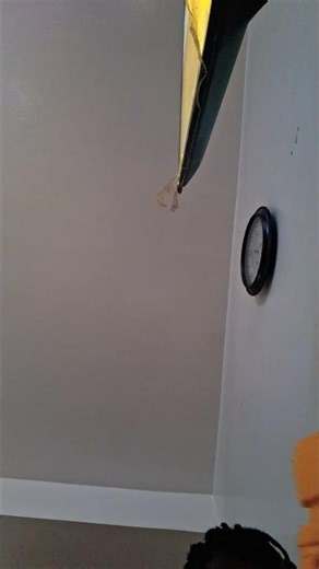 #fnf bambi & dave mod