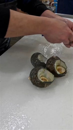 How to remove a sea snail from its shell #food #seafood #comfortfood #easyrecipes | Justin Charley