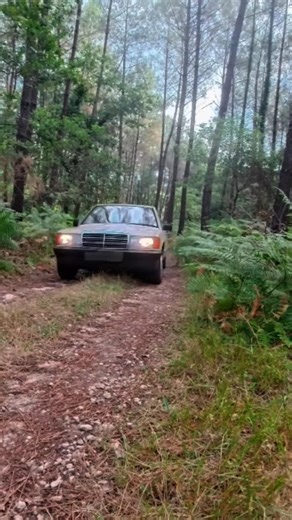 Wild Camping in France & Driving to Spain!