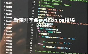 当你刚学会python os模块的时候
