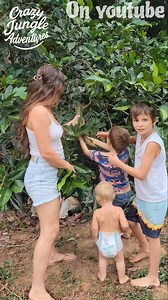 86K views · 2.4K reactions | Harvesting the First Ice Cream Bean Fruit From Our Tree  #homestead #fruit #shorts | Crazy jungle adventures | Facebook