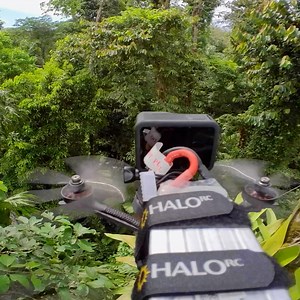 How do you film the impossible? Take a look behind the scenes of The Green Planet and discover how drone technology has brought the world of plants to life in the ground-breaking new series. #GreenPlanet will open your eyes to an undiscovered kingdom… this is life from the perspective of plants. Discover more 👉 https://www.bbcearth.com/shows/the-green-planet | BBC Earth