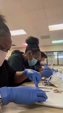 dissecting a cow’s eye #fyp #viral #dissection #healthcare #tulsatech #anatomy
