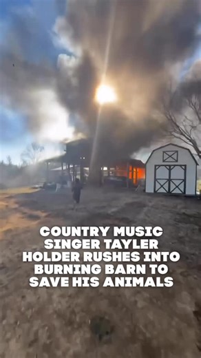 Country Music Tunes on Instagram: "So scary! Glad they were able to get all of their animals out and everyone’s okay! ❤️ Tayler shared this video yesterday saying, “Yesterday was nothing short of a miracle, but God is SO SO good!! This was one of the scariest things I’ve ever walked out of my house too. I thought we lost all of them but luckily we caught it right as it happened and had so many amazing people around us to help. All of the animals are okay and safe and a HUGE thank you to pleasant
