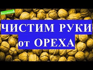 Как отмыть РУКИ от ОРЕХА. Чем отмыть руки от грецкого ореха, зеленых орехов в домашних условиях