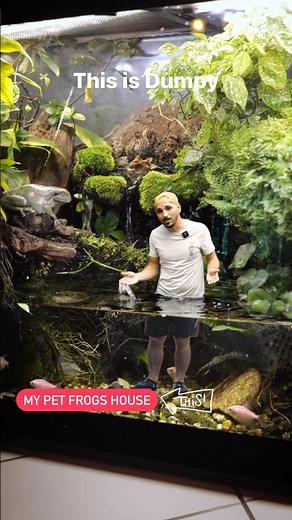 Lucas Peterson | Let’s talk about Dumpy the big frogs house called a Paludarium, we will teach you about her frog enclosure needs / husbandry and all the... | Instagram