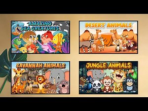 Different Animal Habitat | Kids Educational Video