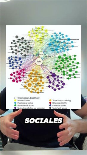 Por este MOTIVO te DUELE LA ESPALDA #dolorlumbar #dolordeespalda #dolor #lumbar #espalda