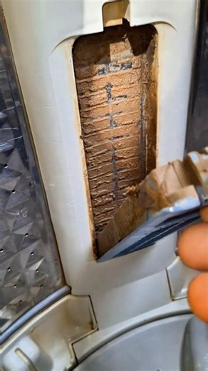 Your Washing Machine Looks Clean… But Is It? 😳🧼#WashingMachine #CleaningHacks #LaundryTips