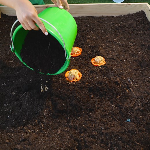 Next-Level Gardening! Smart & Stylish DIYs | 5-Minute Crafts Family