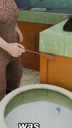 Engaging Animated Story Featuring a Rat