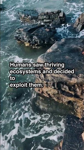 Humans Saw Thriving Ecosystems And Decided To Expl