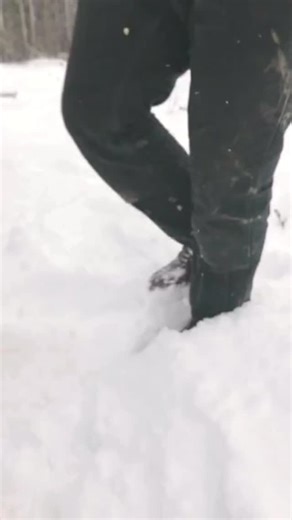 Red Wing Shoes Kamloops on Instagram: "The SuperSole® 2.0 is the ultimate heavy-duty work boot to keep you safe and comfortable in demanding environments. With a soft inner sole for cushioned comfort, a rugged outsole for durability and GORE-TEX® waterproof leather upper for all-weather protection. #RedWingWorkBoots"