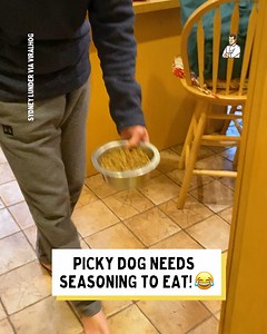 This is a very sophisticated pup 😅 | Dad Jokes