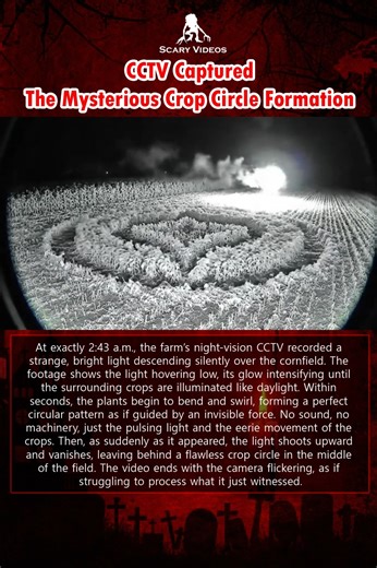 745K views · 3.3K reactions |  CCTV Captured: The Mysterious Crop...