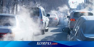 9 Tanaman Hias Penyerap Polutan Terbaik, Cocok Atasi Polusi Udara