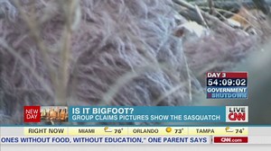 Is this video of Bigfoot?