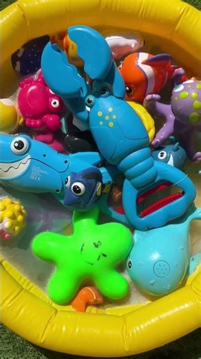 Sea Animal Toys for Toddlers – Fun Ocean Creatures Learning, Names & Facts for Kids
