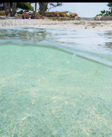 Top Reasons to Visit Aruba This Year
