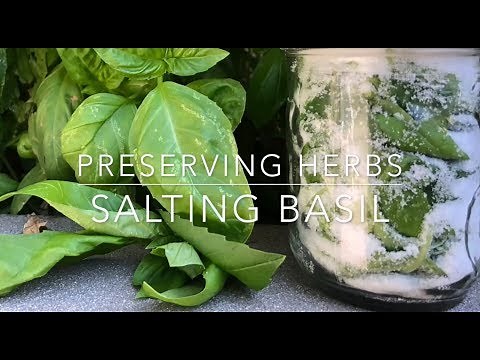 PRESERVE YOUR HERBS IN SALT: with Melissa K Norris: Homesteading Family