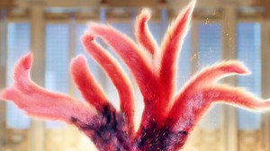 10K views · 175 reactions | The murderer is a nine-tailed fox? #赵露思 #王安宇 #ZhaoLusi #WangAnyu #drama #cdrama #古装 #WeTV #TheLastImmortal | 满糖青春社 SugarDrama | Facebook