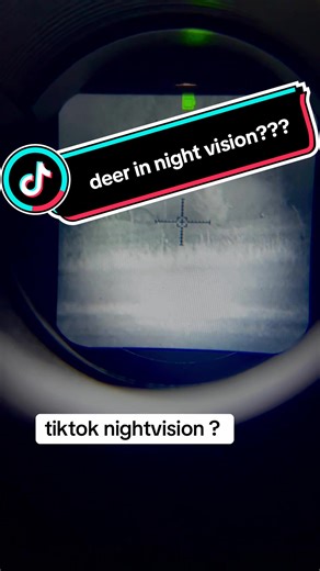 Night Vision Deer Sightings: Captivating Footage