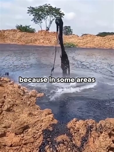 Astonishing Yard Discovery: Oil Found While Digging!
