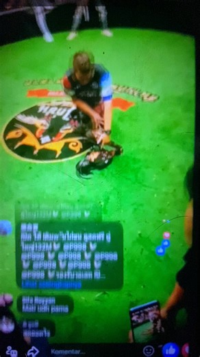 Pertarungan sengit Pakhoy wak pirang VS Pama messuwan ternyata DRAWW🤦‍♂️ @sorotan #YangLagiVirall | Rooster Cempaka