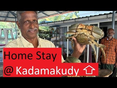 Home stay at Kadamakudy - Beautyful Landscape - John's Haven