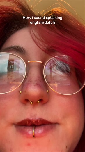 Exploring Multilingualism: English, Dutch, and Hungarian