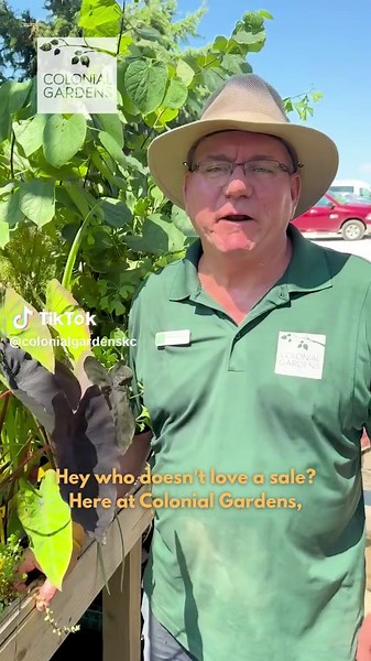 Explore Big Summer Sale at Colonial Gardens!